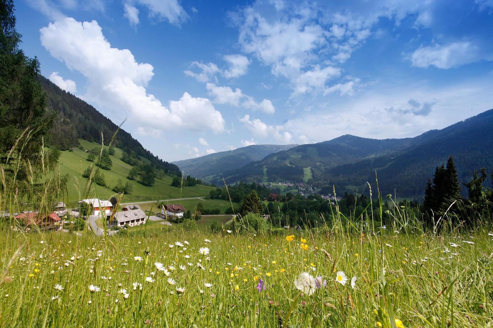 Pension & Appartements Ronacherhof Bad Kleinkirchheim Esterno foto
