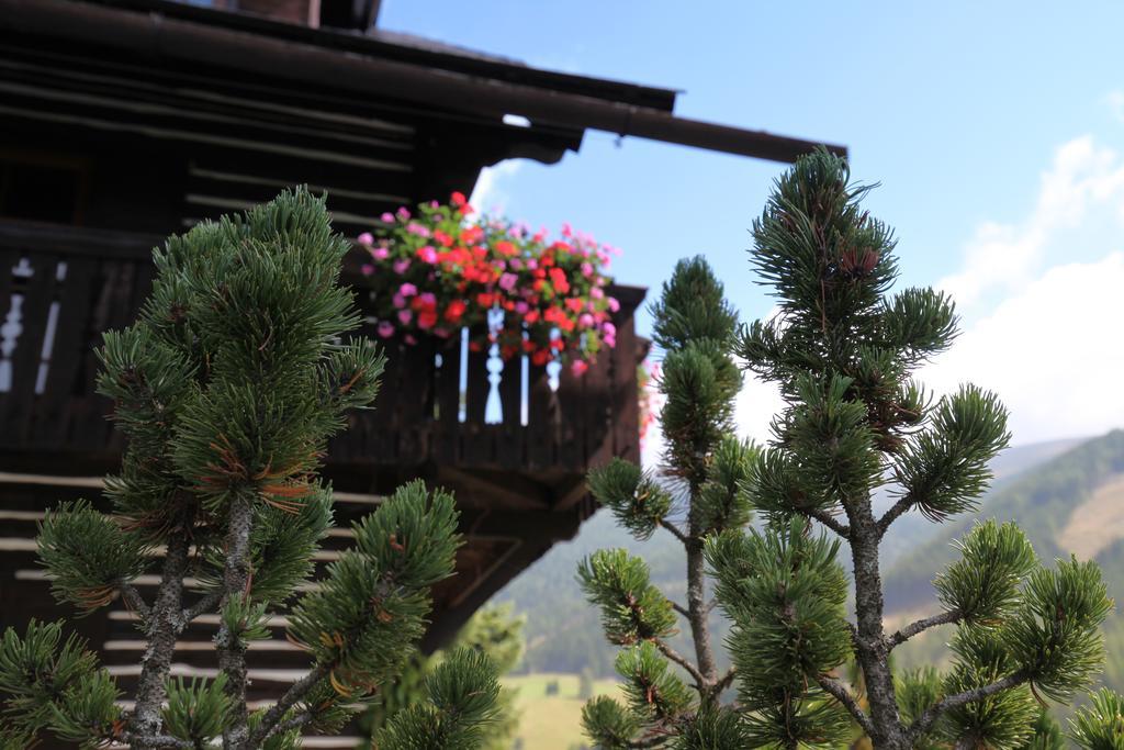 Pension & Appartements Ronacherhof Bad Kleinkirchheim Esterno foto